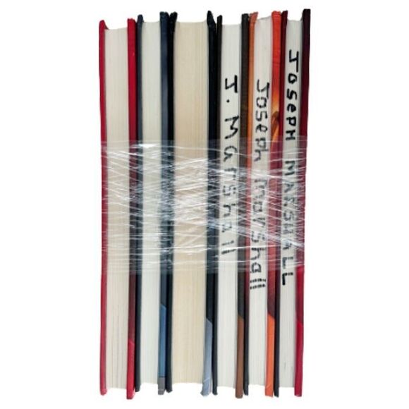 The 39 Clues Books SET 3 5 7 9 10 11 Sword Viper Gauntlet Vespers Storm - Picture 3 of 8